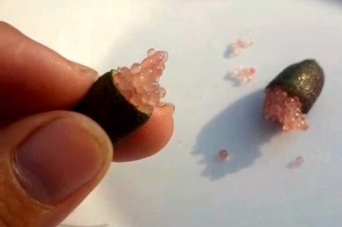 Độc đáo chanh ngón tay 24 màu ở miền Tây - Ảnh 7. Độc đáo chanh ngón tay 24 màu ở miền Tây - Ảnh 7.