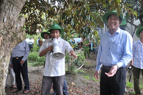 Vú sữa Lò Rèn Vĩnh Kim xuất sang Mỹ nhưng không tiêu biểu ở địa phương - Ảnh 1. Vú sữa Lò Rèn Vĩnh Kim xuất sang Mỹ nhưng không tiêu biểu ở địa phương - Ảnh 1.