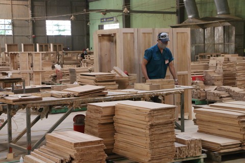 Thủ tướng ra chỉ thị để phát triển ngành gỗ hàng đầu thế giới - Ảnh 1. Thủ tướng ra chỉ thị để phát triển ngành gỗ hàng đầu thế giới - Ảnh 1.