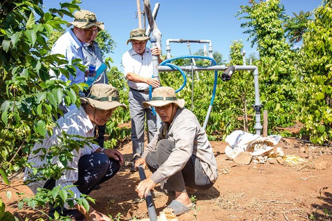 Bayer và các bên liên quan ra mắt giải pháp trồng lại cà phê - Ảnh 3. Bayer và các bên liên quan ra mắt giải pháp trồng lại cà phê - Ảnh 3.