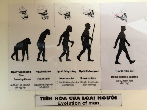 Lịch sử người Việt sẽ bắt đầu từ... An Khê? - Ảnh 6. Lịch sử người Việt sẽ bắt đầu từ... An Khê? - Ảnh 6.