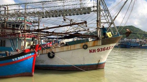 Ngân hàng khởi kiện chủ tàu cá nợ xấu - Ảnh 1. Ngân hàng khởi kiện chủ tàu cá nợ xấu - Ảnh 1.