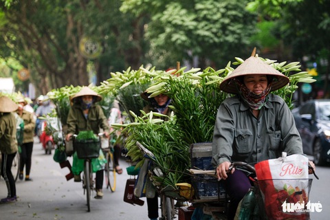 Hoa loa kèn gọi tháng 4 khắp phố phường Hà Nội - Ảnh 1. Hoa loa kèn gọi tháng 4 khắp phố phường Hà Nội - Ảnh 1.