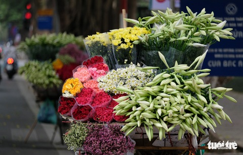 Hoa loa kèn gọi tháng 4 khắp phố phường Hà Nội - Ảnh 6. Hoa loa kèn gọi tháng 4 khắp phố phường Hà Nội - Ảnh 6.