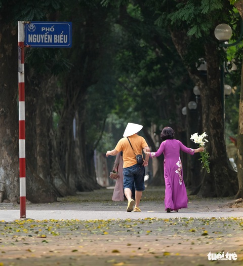 Hoa loa kèn gọi tháng 4 khắp phố phường Hà Nội - Ảnh 10. Hoa loa kèn gọi tháng 4 khắp phố phường Hà Nội - Ảnh 10.