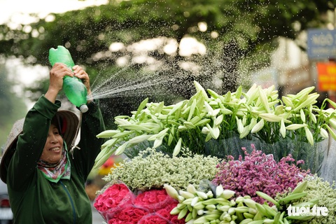 Hoa loa kèn gọi tháng 4 khắp phố phường Hà Nội - Ảnh 2. Hoa loa kèn gọi tháng 4 khắp phố phường Hà Nội - Ảnh 2.