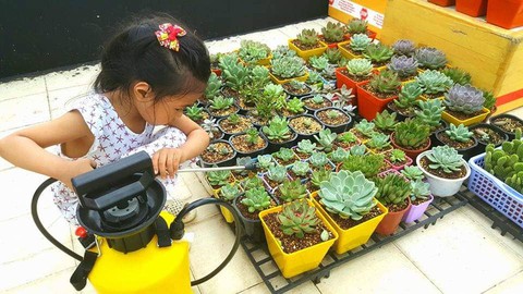 Hội mê trồng cây, họp chợ tặng nhau miễn phí - Ảnh 3. Hội mê trồng cây, họp chợ tặng nhau miễn phí - Ảnh 3.