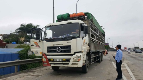 dịch heo dịch heo