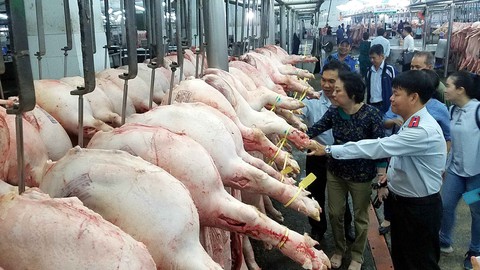Thủ tướng Nguyễn Xuân Phúc: Chống dịch như chống giặc - Ảnh 1. Thủ tướng Nguyễn Xuân Phúc: Chống dịch như chống giặc - Ảnh 1.
