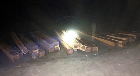 Thấy cảnh sát đường thủy, lâm tặc bỏ 50 phách gỗ lậu tẩu thoát - Ảnh 1. Thấy cảnh sát đường thủy, lâm tặc bỏ 50 phách gỗ lậu tẩu thoát - Ảnh 1.