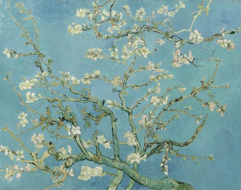 Lần đầu tiên xem tranh Van Gogh phiên bản số ở Việt Nam - Ảnh 7. Lần đầu tiên xem tranh Van Gogh phiên bản số ở Việt Nam - Ảnh 7.