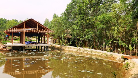 Khu nghỉ dưỡng đẹp tuyệt... xây chui trong rừng phòng hộ - Ảnh 3. Khu nghỉ dưỡng đẹp tuyệt... xây chui trong rừng phòng hộ - Ảnh 3.