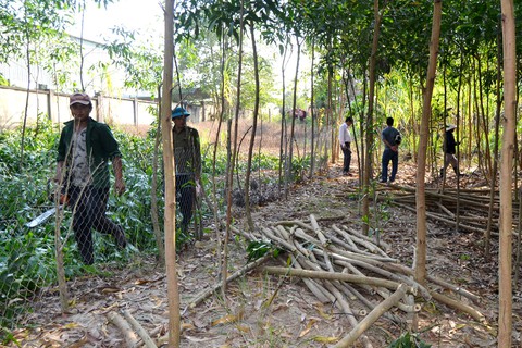Nguyên bí thư huyện giao 9.700m2 đất cho chính quyền trước ngày bị cưỡng chế - Ảnh 1. Nguyên bí thư huyện giao 9.700m2 đất cho chính quyền trước ngày bị cưỡng chế - Ảnh 1.