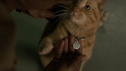 Xem Captain Marvel: phái đẹp gánh cả thế giới trên vai - Ảnh 10. Xem Captain Marvel: phái đẹp gánh cả thế giới trên vai - Ảnh 10.