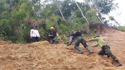 Tây Giang gìn giữ rừng xanh - Kỳ 1: Sáu năm một vụ phá rừng - Ảnh 1. Tây Giang gìn giữ rừng xanh - Kỳ 1: Sáu năm một vụ phá rừng - Ảnh 1.