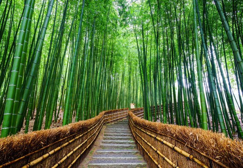 Rộn ràng Đại Lễ - Vi Vu Osaka (Nhật Bản) Bằng Chuyên Cơ - Ảnh 3. Rộn ràng Đại Lễ - Vi Vu Osaka (Nhật Bản) Bằng Chuyên Cơ - Ảnh 3.