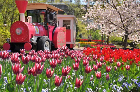 Rộn ràng Đại Lễ - Vi Vu Osaka (Nhật Bản) Bằng Chuyên Cơ - Ảnh 5. Rộn ràng Đại Lễ - Vi Vu Osaka (Nhật Bản) Bằng Chuyên Cơ - Ảnh 5.