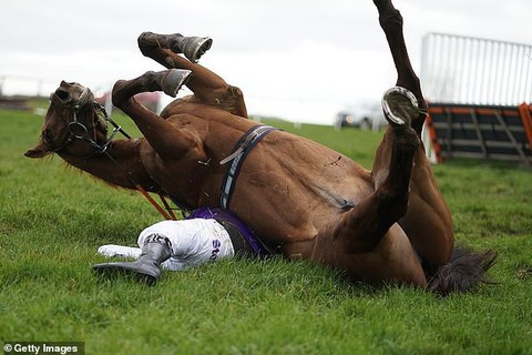 Dựng t&oacute;c g&aacute;y' với c&uacute; ng&atilde; ngựa kinh ho&agrave;ng ở cuộc đua ...