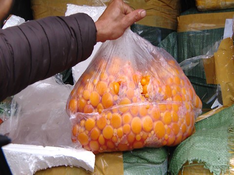 Chặn đứng hơn 1 tấn nội tạng bẩn đang trên đường đi tiêu thụ - Ảnh 1. Chặn đứng hơn 1 tấn nội tạng bẩn đang trên đường đi tiêu thụ - Ảnh 1.