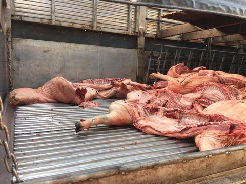 Tiêu hủy ngay hơn 1 tấn thịt heo nghi bị bệnh ở chợ Bình Điền - Ảnh 1. Tiêu hủy ngay hơn 1 tấn thịt heo nghi bị bệnh ở chợ Bình Điền - Ảnh 1.