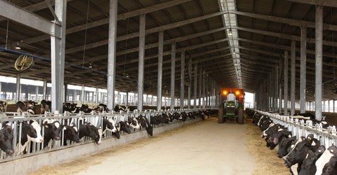Ngày 8-3 và câu chuyện của nữ lãnh đạo TH true Milk - Ảnh 4. Ngày 8-3 và câu chuyện của nữ lãnh đạo TH true Milk - Ảnh 4.