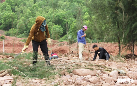 Vụ làm đầm tôm phá rừng phòng hộ: dỡ nhà xây trái phép - Ảnh 6. Vụ làm đầm tôm phá rừng phòng hộ: dỡ nhà xây trái phép - Ảnh 6.
