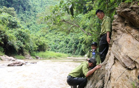 Tây Giang gìn giữ rừng xanh - Kỳ 4: Biệt đội rừng lim - Ảnh 1. Tây Giang gìn giữ rừng xanh - Kỳ 4: Biệt đội rừng lim - Ảnh 1.
