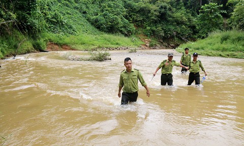 Tây Giang gìn giữ rừng xanh - Kỳ 4: Biệt đội rừng lim - Ảnh 3. Tây Giang gìn giữ rừng xanh - Kỳ 4: Biệt đội rừng lim - Ảnh 3.