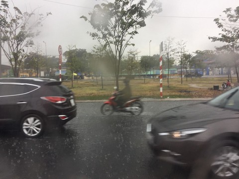 TP.HCM xuất hiện mưa vàng giải nhiệt - Ảnh 4. TP.HCM xuất hiện mưa vàng giải nhiệt - Ảnh 4.