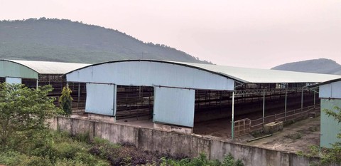 Thẩm định giá trại bò liên quan đến cha con ông Trần Bắc Hà - Ảnh 1. Thẩm định giá trại bò liên quan đến cha con ông Trần Bắc Hà - Ảnh 1.