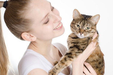 Dị ứng mèo và những điều có thể bạn không biết - Ảnh 1. Dị ứng mèo và những điều có thể bạn không biết - Ảnh 1.