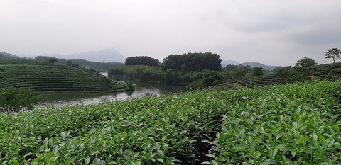 Nghệ An tung tour mới giá chỉ 2,6-2,8 triệu hút khách TP.HCM - Ảnh 1. Nghệ An tung tour mới giá chỉ 2,6-2,8 triệu hút khách TP.HCM - Ảnh 1.