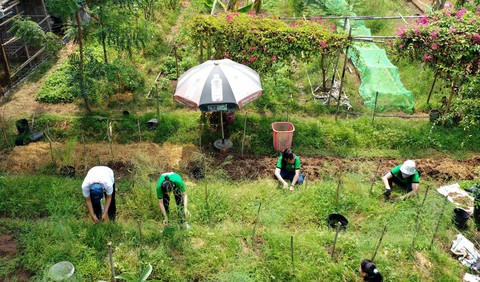 Về vườn để học sống thuận theo tự nhiên - Ảnh 1. Về vườn để học sống thuận theo tự nhiên - Ảnh 1.