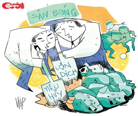 Heo bệnh đem chôn ở... sân bóng - Ảnh 1. Heo bệnh đem chôn ở... sân bóng - Ảnh 1.