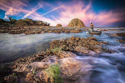 ‘Biển, đảo quê hương’ giữa lòng cố đô Hoa Lư - Ảnh 13. ‘Biển, đảo quê hương’ giữa lòng cố đô Hoa Lư - Ảnh 13.