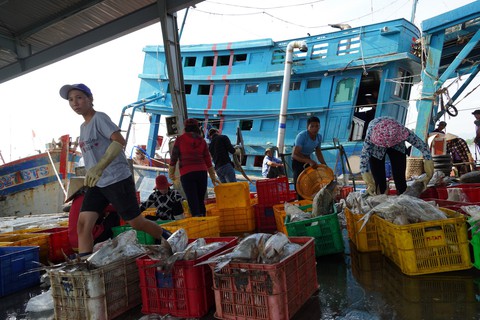 Kiên quyết không cho tàu cá không gắn định vị xuất biển - Ảnh 1. Kiên quyết không cho tàu cá không gắn định vị xuất biển - Ảnh 1.