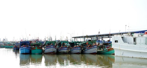 Kiên quyết không cho tàu cá không gắn định vị xuất biển - Ảnh 2. Kiên quyết không cho tàu cá không gắn định vị xuất biển - Ảnh 2.