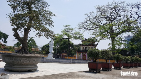 Sư trụ trì cầm ly bia nói về việc thả chó cắn nát mặt Phật tử - Ảnh 5. Sư trụ trì cầm ly bia nói về việc thả chó cắn nát mặt Phật tử - Ảnh 5.