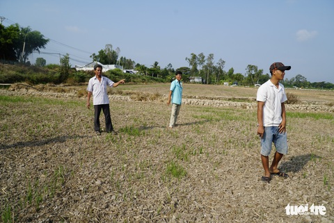 Chủ trạm bơm tháo chạy vì lỗ, nông dân khóc ròng vì thiếu nước - Ảnh 1. Chủ trạm bơm tháo chạy vì lỗ, nông dân khóc ròng vì thiếu nước - Ảnh 1.