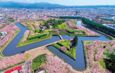 Tuyệt sắc hoa anh đào giữa đất trời Hokkaido Nhật Bản - Ảnh 1. Tuyệt sắc hoa anh đào giữa đất trời Hokkaido Nhật Bản - Ảnh 1.