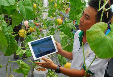 Năm 2020, nông nghiệp sẽ thiếu khoảng 3,2 triệu lao động qua đào tạo - Ảnh 1. Năm 2020, nông nghiệp sẽ thiếu khoảng 3,2 triệu lao động qua đào tạo - Ảnh 1.