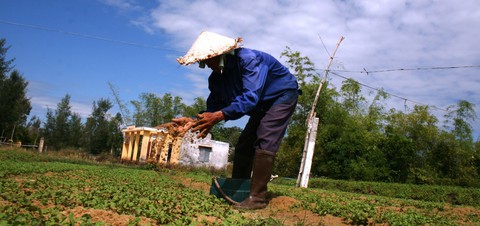 Làng ĐH Đà Nẵng treo hơn 20 năm đang chuyển động - Ảnh 2. Làng ĐH Đà Nẵng treo hơn 20 năm đang chuyển động - Ảnh 2.