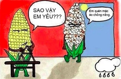 Dân mạng chế ảnh Sài Gòn nóng hầm hập không thua... nồi lẩu - Ảnh 7. Dân mạng chế ảnh Sài Gòn nóng hầm hập không thua... nồi lẩu - Ảnh 7.