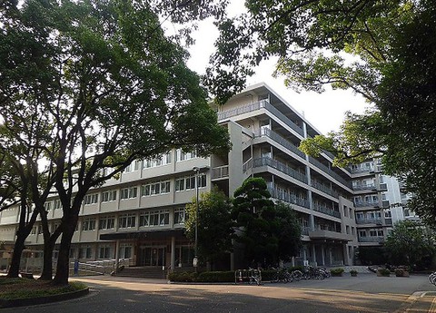Đại học Nhật không tuyển giáo sư hút thuốc - Ảnh 1. Đại học Nhật không tuyển giáo sư hút thuốc - Ảnh 1.