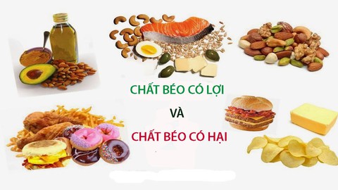 Có các loại chất béo nào? - Ảnh 1. Có các loại chất béo nào? - Ảnh 1.