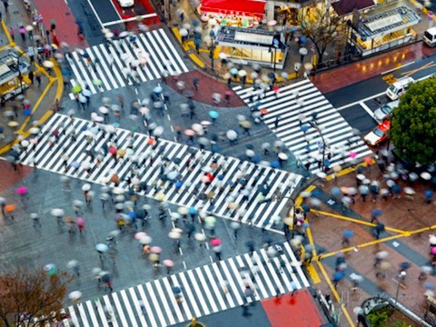 Sầm uất Shibuya - Ảnh 6. Sầm uất Shibuya - Ảnh 6.