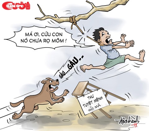 Thú cưng thả rông thành thú dữ - Ảnh 3. Thú cưng thả rông thành thú dữ - Ảnh 3.