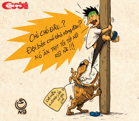 Thú cưng thả rông thành thú dữ - Ảnh 4. Thú cưng thả rông thành thú dữ - Ảnh 4.