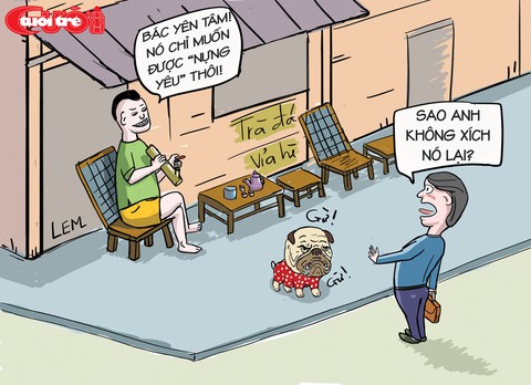 Thú cưng thả rông thành thú dữ - Ảnh 5. Thú cưng thả rông thành thú dữ - Ảnh 5.