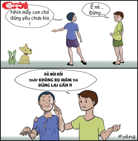 Thú cưng thả rông thành thú dữ - Ảnh 6. Thú cưng thả rông thành thú dữ - Ảnh 6.